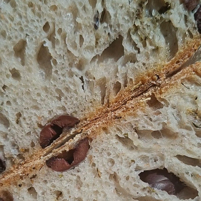 olijvenbrood